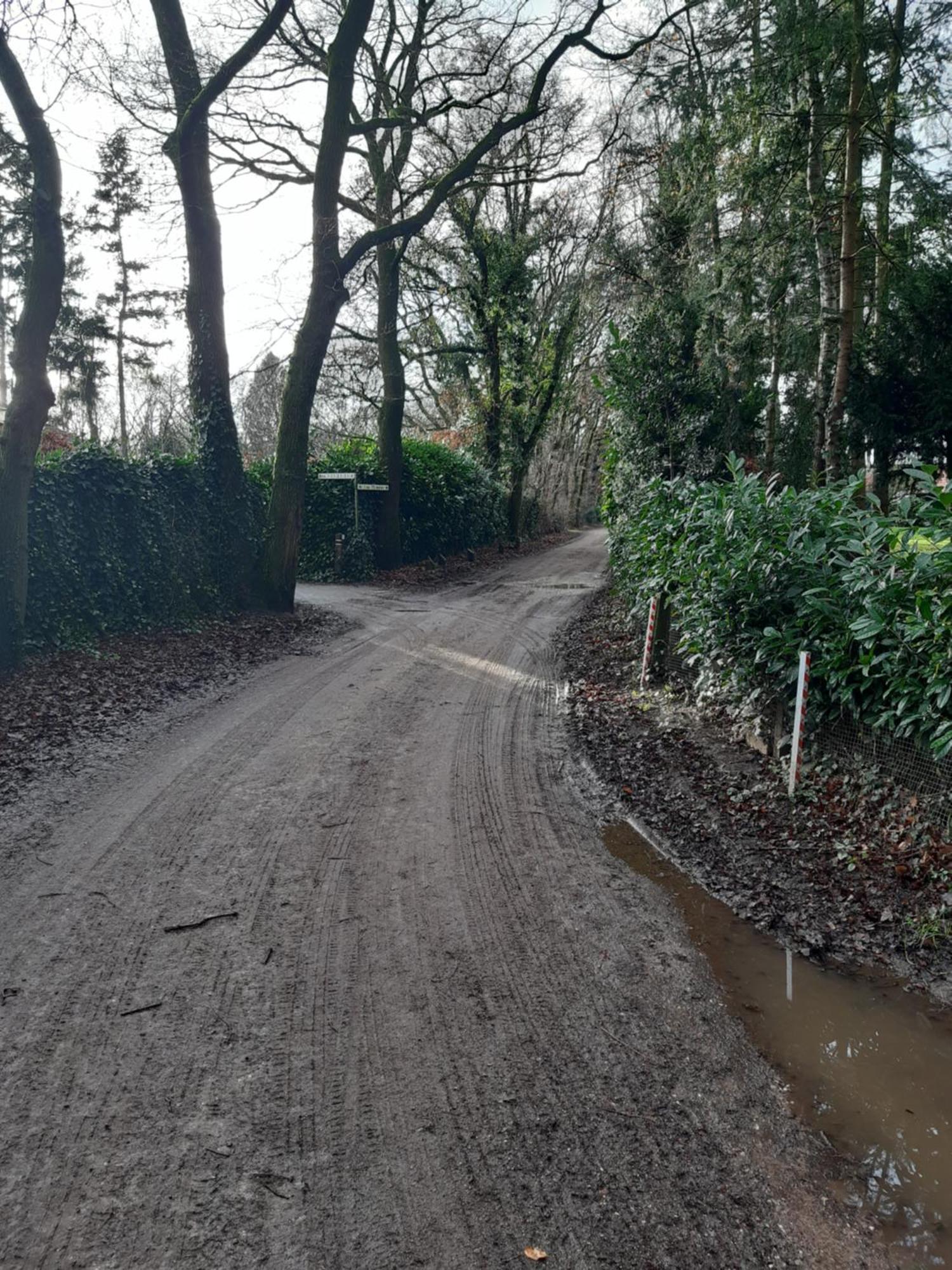 Villa Huinerhofje 3 Vrijstaand op privépark aan bosrand Putten Esterno foto
